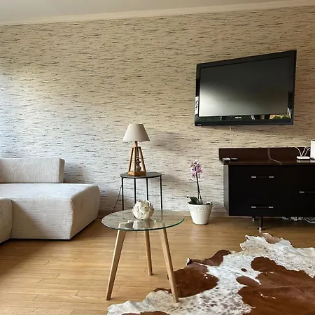 In The Heart Of Montana Appartement
